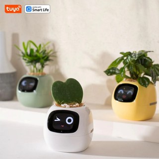Tuya 스마트 AI 화분 플랜터의 주요 특징
