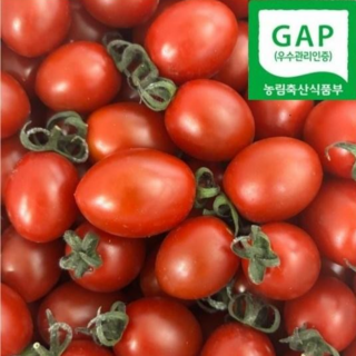 장수농산물 GAP인증 대추방울토마토, 1개, 대추방울1.5kg