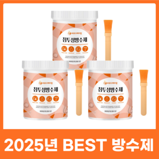 바르다케미칼 침투형 바르는 방수제 셀프 옥상 투명 발수 외벽 욕실, 3개, 300g