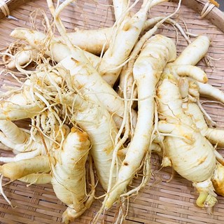 금산 후금이네 싱싱한 인삼 수삼 세척 파삼 막삼 못난이삼 (300g), 300g, 1개