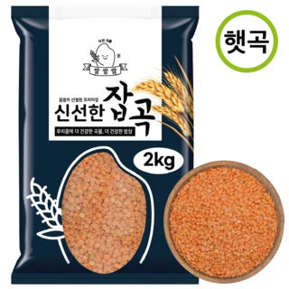 3. [쌀쌀쌀] 프리..