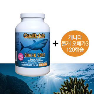 퀄리티랩 백 상어 연골 샤크골드 750mg 500캡슐 + 수량별 사은품 캐나다, 1개, 500정