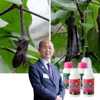 왕잘커 식물영양제