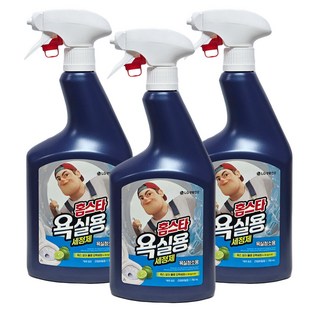 홈스타 욕실용 세정제 750ml, 3개