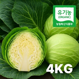 루센팜 국내산 프리미엄 유기농 신선 양배추 저칼로리 식단관리, 1박스, 4kg