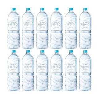 백산수 생수 무라벨, 2L, 12개