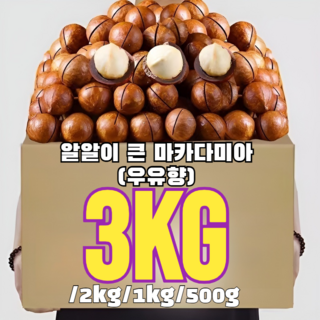 2kg/500g 다미아 (우유향) 대용량 호주 다미아 장 건강에 좋다 다이어트 식품, 500g