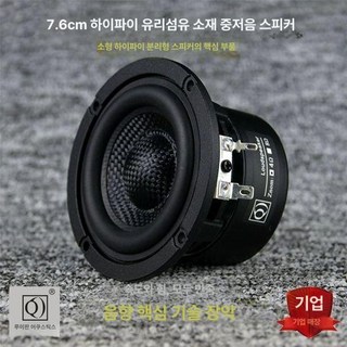FOCAL 미드레인지 카오디오