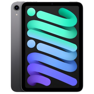 Apple 아이패드 mini, 스페이스 그레이, 256GB, Wi-Fi