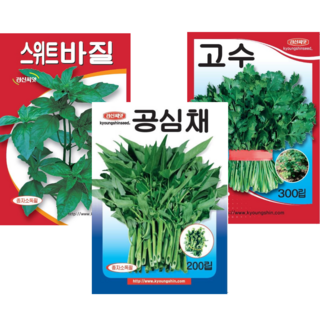 베트남 동남아 채소씨앗세트 바질 공심채 고수, 1개
