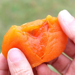 명품 상주곶감 건시 반건시 선물용 실속형, 1개, 1kg (중대과)