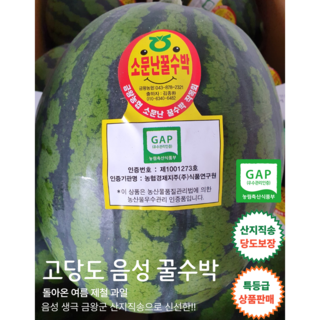 프리미엄 GAP인증 음성 양구 금왕 친환경 수박 소문난 꿀수박, 1개, 7~9 kg, 음성 생극 금왕 수박