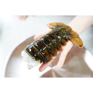 싱싱한 랍스터 테일