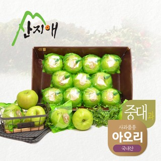 산지애 씻어나온 초록사과 2.7kg 1box / 봉지 세척사과 아오리 사과