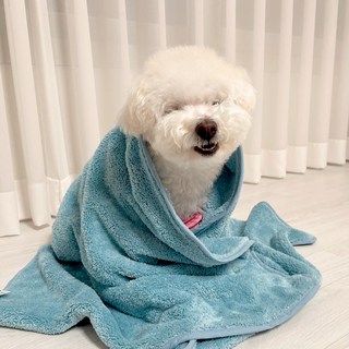 ELIMS 펫 초극세사 중량2배 고양이 강아지 목욕 수건 타올 사이즈다양