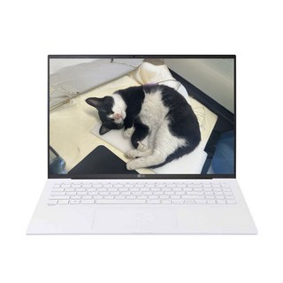 LG전자 그램 16Z90P 광시야각 16인치 i5-1135G7/16G/NVMe 512GB/Iris Xe/Win11 고사양 노트북, WIN11 Home, 16GB, 512GB, 화이트