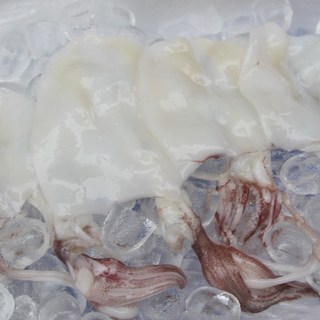 제주 손질 한치 제철 산지직송 횟감 급냉, 1세트, 1팩 500g