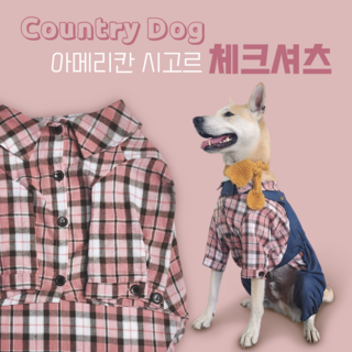 1. 크왕 대형견 미..