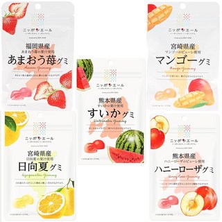 전농 닛폰 에일구미 규슈 응원 상품