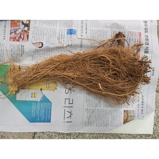야관문뿌리 상품 이미지