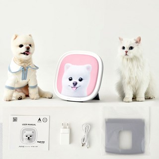 엠씨스퀘어 바이탈 펫 강아지 고양이 반려동물 정서안정 분리불안 솔루션 1개 혼합색상