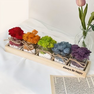 스칸디아모스 공기정화 우드트레이 5종 화분 세트 1개 상품 이미지