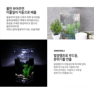 무드등 미니어항 수족관 LED 발광, 1개