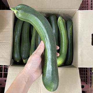 쥬키니호박