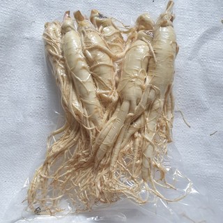 금산인삼 5년근 6년근 원수삼대 750g 7 8뿌리 오쿠용 홍삼용 인삼주용 무료세척, 세척, 1개