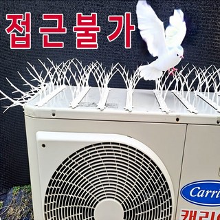 버드스파이크 조류퇴치