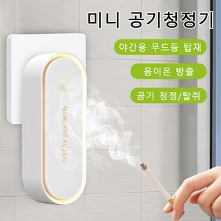 2. 음이온 소형 공..