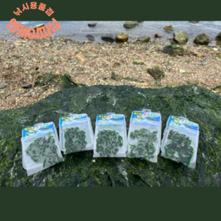 엔케이피싱 벵에돔 미끼 파래 새우 약40미 제한 수량 판매 냉장보관 1년도 걱정 NO, 1개