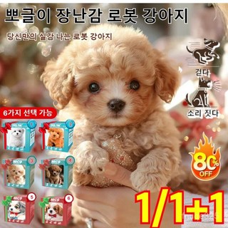 JJRC AI로봇 캐디윌