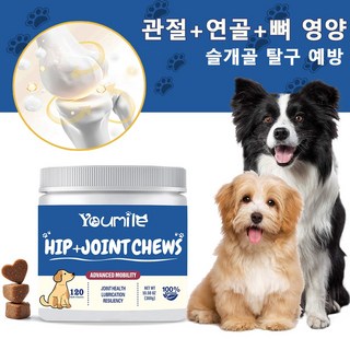 반려견 관절영양제 강아지 슬개골 콘드로이친 보조제 MSM 글루코사민 비타민 노령견 연골 탈구 디스크, 1개, 300g