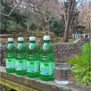 급냉 고로쇠 물 500ML 울릉도 토종 우산 고로쇠, 30개