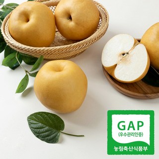 [달찐과일] 당도선별 나주배, 1박스, 가정용 5kg (11-12과), 5kg