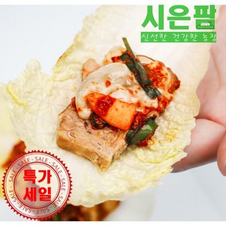 [통영직송] 국내산 30년 전통 통영 생굴무침, 1개, 330g