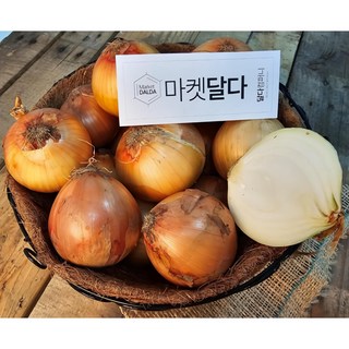 국내산 양파 양파 무안 함평 해남 등 산지출하중, 양파 5kg(진짜장아찌용), 1개