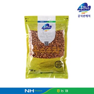 영월농협 동강마루 옥수수차