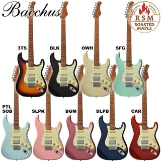 바커스 BST 2 RSM R 일렉기타