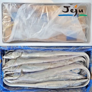 제주 선동갈치 전사이즈 10kg 대 갈치네이션 냉동갈치 은갈치 제주갈치 제주한림수산, 1박스, 소(70여미/10kg)