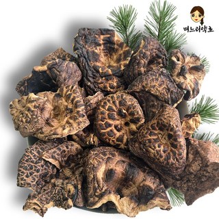 며느리약초 자연산 능이버섯 A급 (특품) 건조 100g, 1개, 100g(1개)