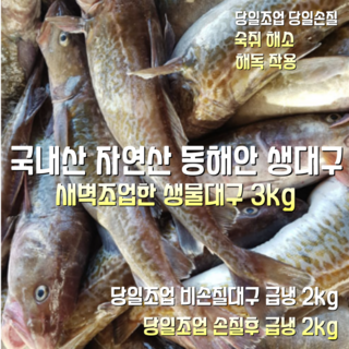 [산지직송] 국내산 자연산 동해안 생대구 비손질 2kg 2~5마리. 손질전 3kg 손질후 2kg 새벽조업한 생물 대구 3kg 5~6미. 1박스, 동해안 냉동 생대구 비손질 2kg 2~5마리