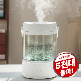 한일전기 가열식 대용량 3L 가습기, HGSP-800Turbo