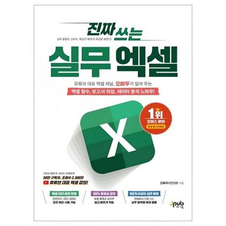 진짜 쓰는 실무 엑셀: 유튜브 대표 엑셀 채널 오빠두가 알려 주는
