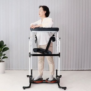 [리디자인] 회전 운동기구 딥다 트레이너 RDT-191 1개 상품 이미지