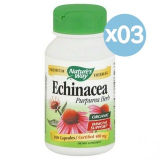 Nature's Way 네이처스 웨이 에키네시아 푸푸레아 허브 100캡슐 3팩 Echinacea Purpurea Herb, 3개, 100정