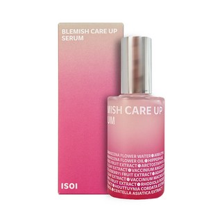 아이소이 블레미쉬 케어 업 잡티 세럼 70ml, 1개