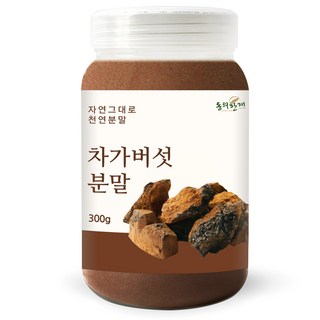 동의한재 프리미엄 러시아 차가버섯 분말 가루, 300g, 1개