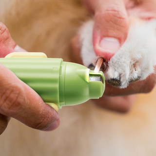 바비온 강아지 고양이 선인장 발톱 깎이 터보 전동 그라인더 발톱갈이 BG-14A, 바비온 강아지 고양이 선인장 발톱 깎이 터보 전동 그라, 1개 바비온그라인더